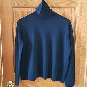 Everlane Boxy Merino Wool Turleneck